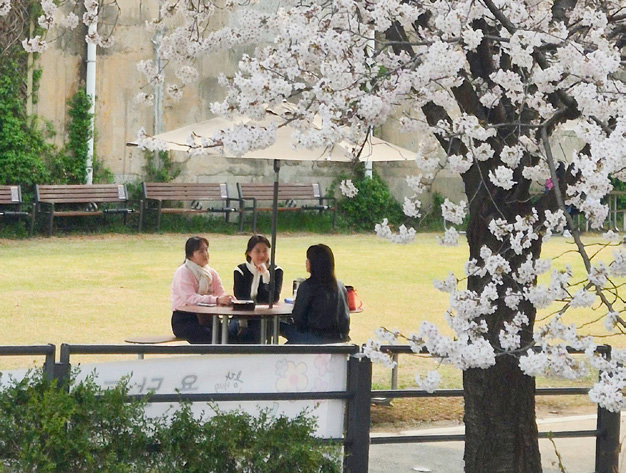 송지은 님 사진