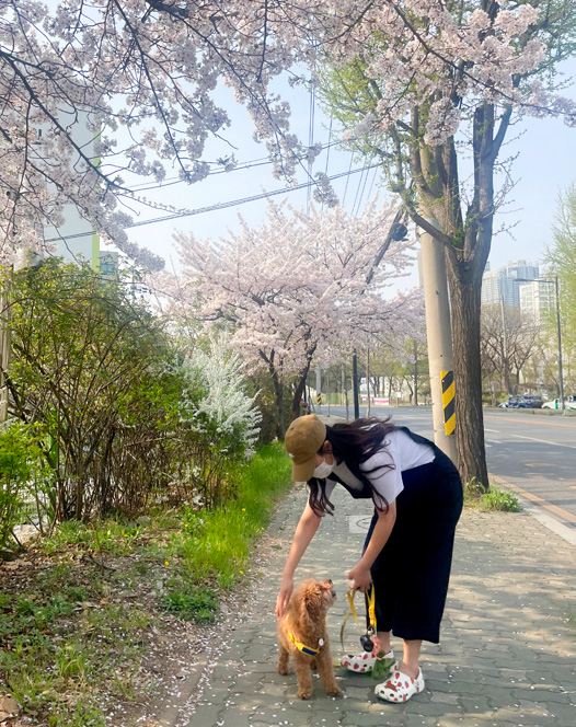김미진 님 사진