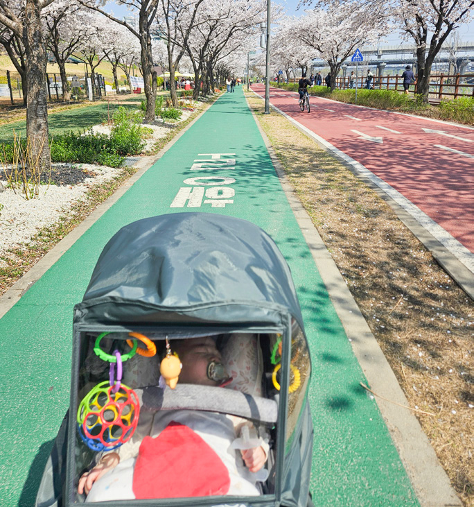 황여진 님 사진