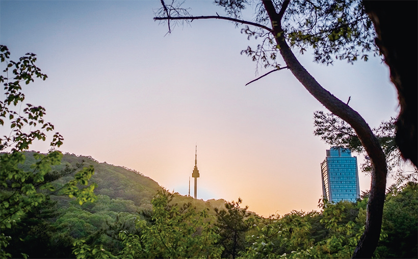 남산자락숲길