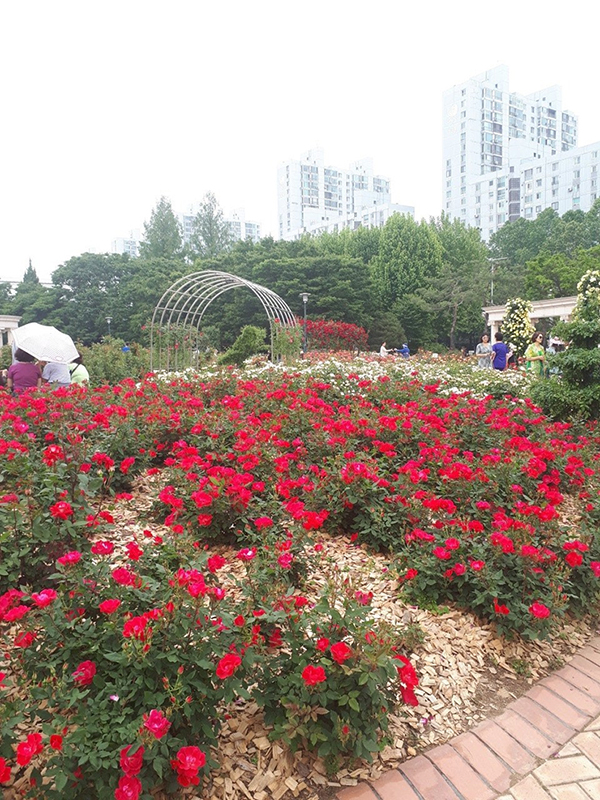 오륜동
