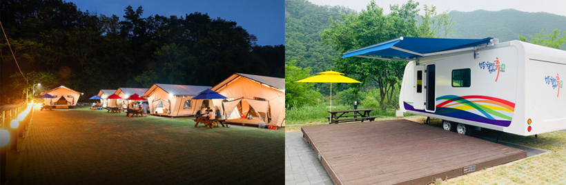 영월캠프