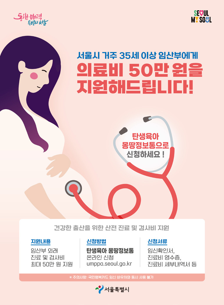 임산부 의료비 지원 포스터
