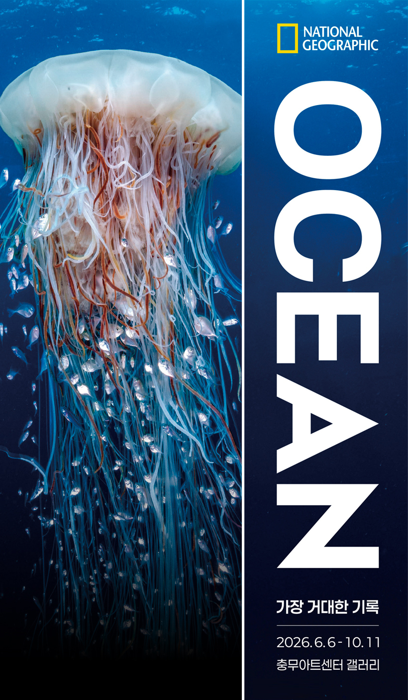 OCEAN 가장 거대한 기록