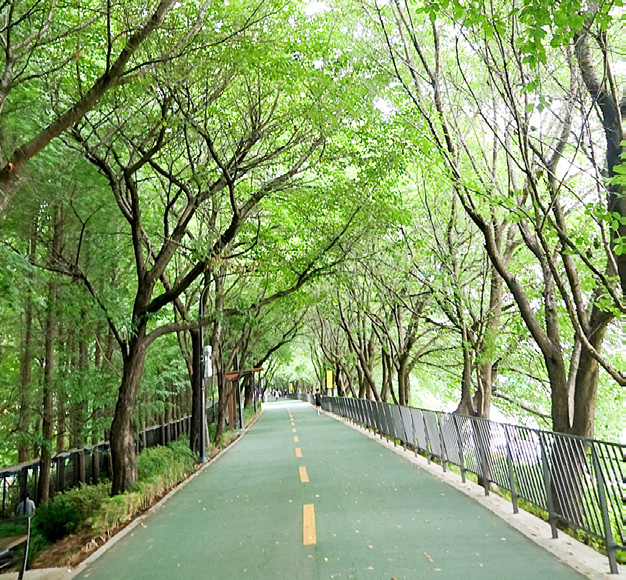 이흥식 님 사진