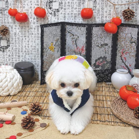 김지윤 님 사진