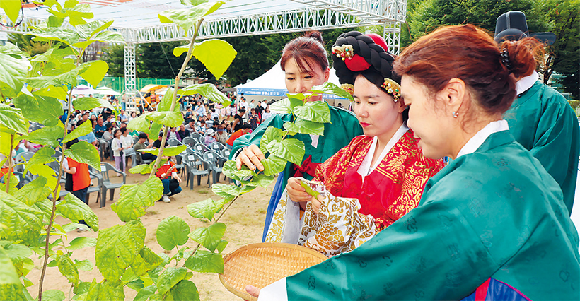 잠원나루축제