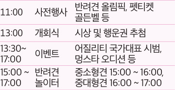 축제 일정 안내