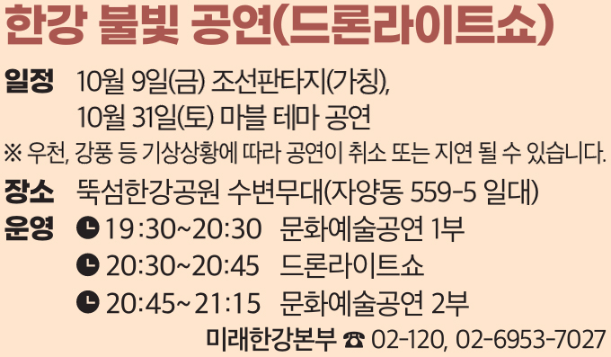 한강 불빛 공연(드론라이트쇼)
