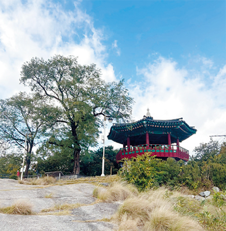 가을 산책 Point