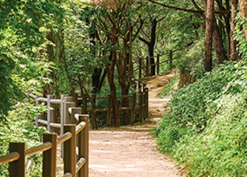 남산자락숲길 우리 함께 걸을까요?