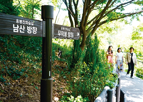 광장기획 [남산자락숲길] 내동(洞) 내산(山) 내 동네에서 내 남산 즐기는 법