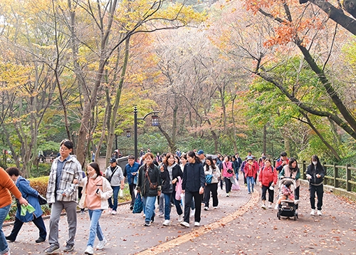 광장기획 [가을축제] 10월 일정은 비워두세요 축제 가야 하니까!