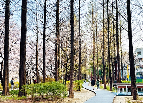브랜드평판 전국 1위 생활만족지수 서울 1위