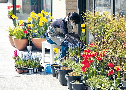 초록으로 힐링하세요