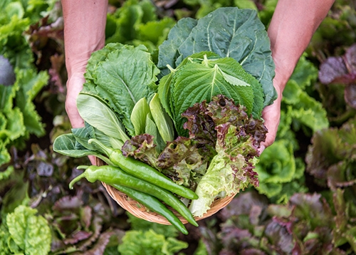 [알림] 4월 서초 직거래 큰장터 운영