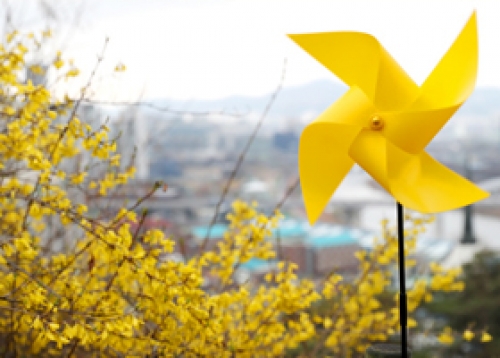 비대면 백일장 및 그림그리기 대회 신청, 성동10번 마을버스 노선 조정 등