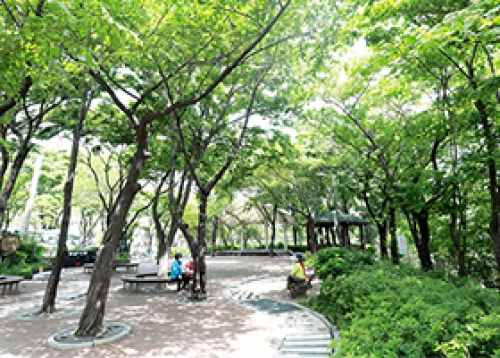 성동의 걷기 좋은 산책길