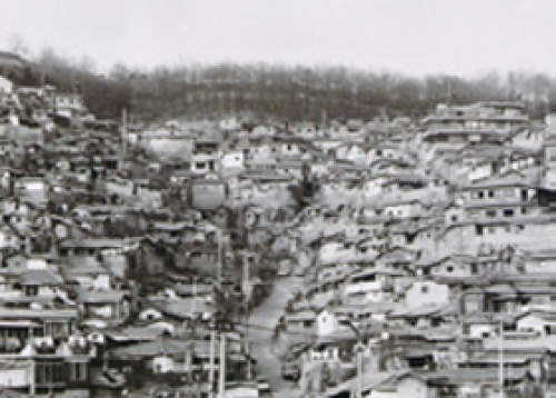 [성동게시판] 교육·문화, 문화재단, 도시관리공단, 행정정보