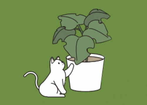 뽐뽐 사진뽐내기