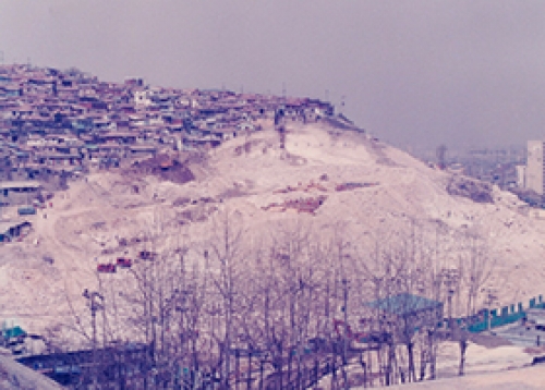 [성동게시판] 교육·행정정보, 문화원, 문화재단, 도시관리공단
