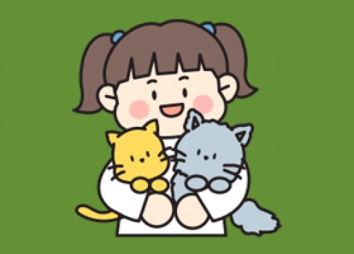 뽐뽐 사진뽐내기