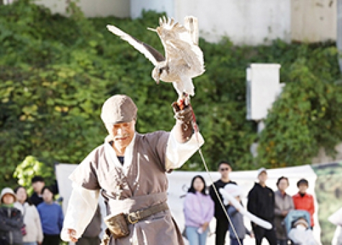 도심에서 느끼는 이색 체험, 응봉동 매사냥 축제, 알록달록 송정 제방 단풍길 걷기 등