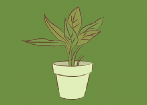 뽐뽐 사진뽐내기