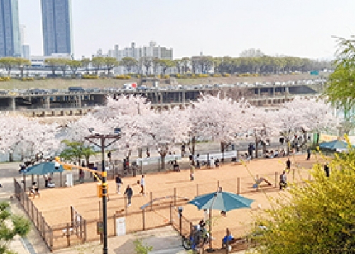 우리동네 봄맞이 운동명소는 여기!