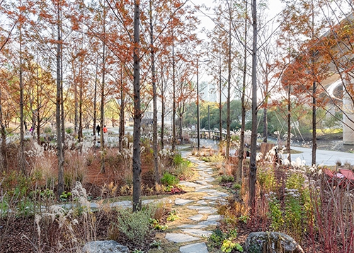 반짝이는 물길 따라, 성동 가을을 걷다