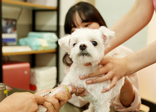 [성동게시판] 교육·행정정보, 문화원, 문화재단
