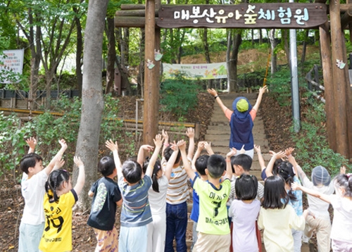 단풍 물든 길 따라, 건강한 발걸음