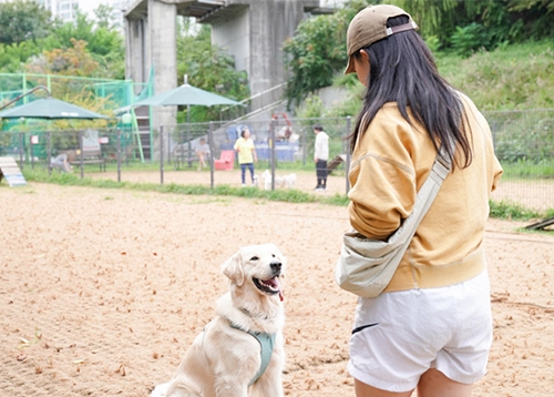 생동(生動) 하는 봄, 성동과 함께하는 반려 생활