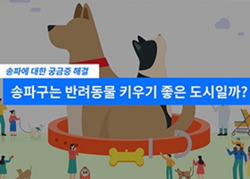 송파가 알고싶다 - 송파구는 반려동물 키우기 좋은 도시일까?