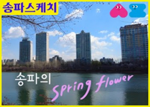 송파의 spring flower