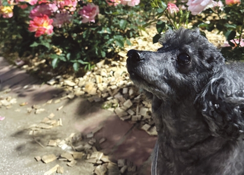 [포토 이벤트] 인생 한 컷을 담아주세요